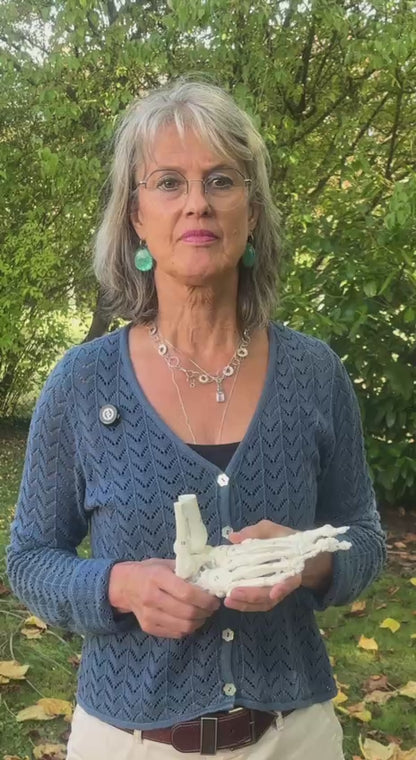 Hallux valgus verstehen (Online Workshop)